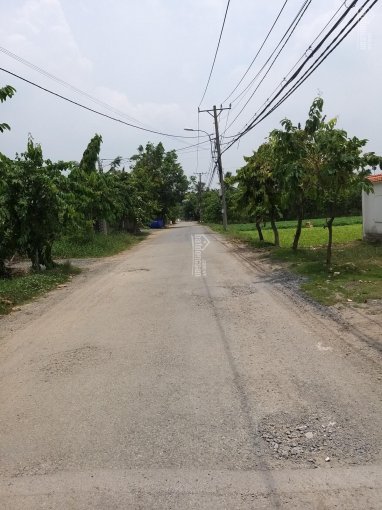 Cần bán lô đất thổ cư một sẹc đường Nguyễn Văn Bứa, Hóc Môn ngang 16.56m sâu 70 m