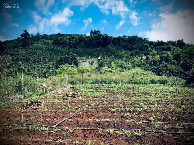 Mảnh đất đáng sống - Đáng đầu tư