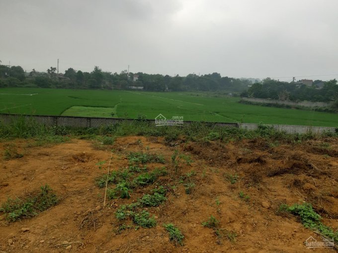 Cần bán nhanh lô đất 1300m2, 200m2 thổ cư tại thôn Hạnh Côn, xã Nam Phương Tiến, Chương Mỹ, HN