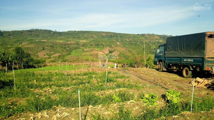 Đất thổ cư huyện Di Linh - view hồ Tây, hồ Kala, sông Đồng Nai