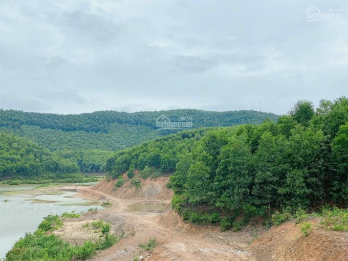 70ha đất rừng sản xuất tại Kim Bôi, Hòa Bình gần Serena Resort, đường vào to rộng
