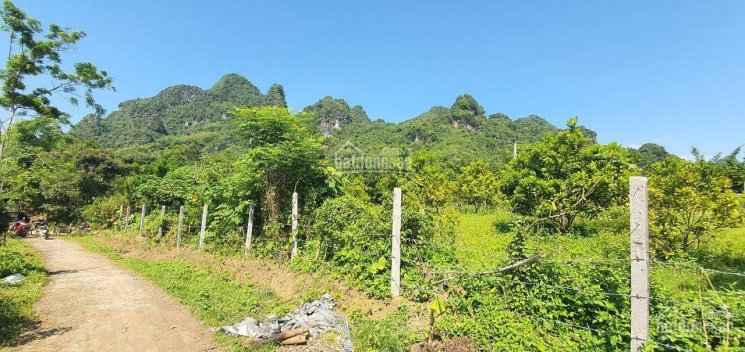 Bán BĐS phân khúc nghỉ dưỡng giá siêu rẻ chỉ có tại Kim Bôi, Hòa Bình diện tích 3.500m2
