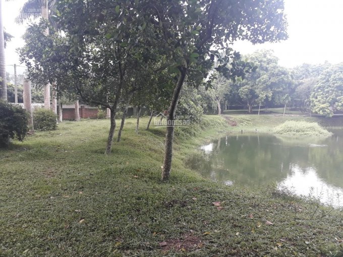 Bán đất vườn S 10.000m2 có 800m2 đất ở còn lại đất vườn khuôn viên có sẵn, tại Lương Sơn, Hòa Bình