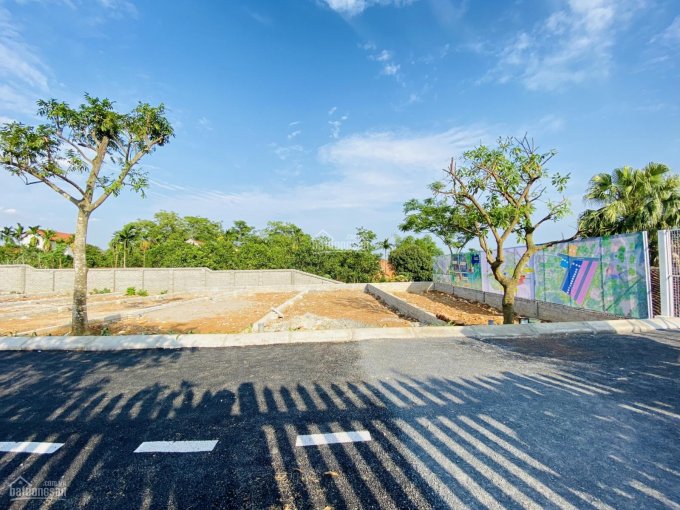 Bán lô đất đẹp như tranh vẽ - 88,4 m2 thôn Chầm Muộn, Đồng Trúc, vị trí siêu vip