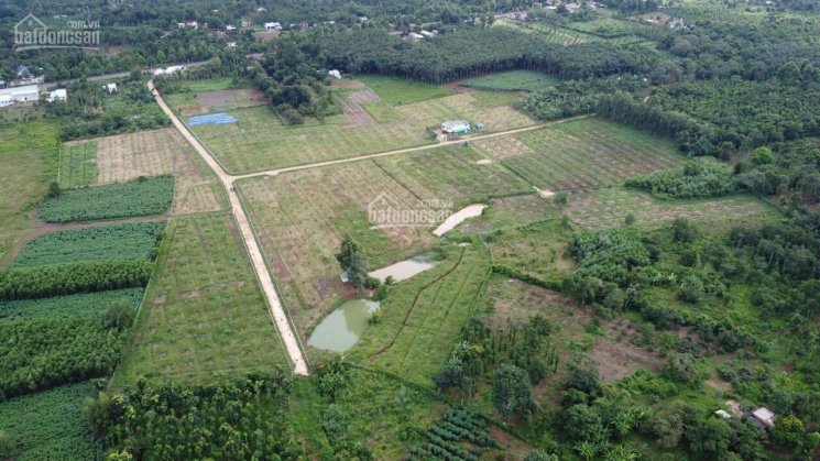 6 mẫu 3 Láng Lớn, gần cổng chào Châu Đức, MT 6m betong cách nhựa 100m