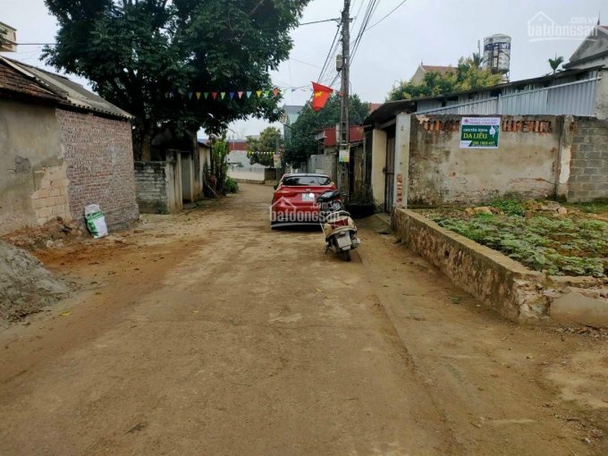 Khi thành phố tắt đèn là lúc em lên hàng, lô đất vàng trong làng Đông Yên