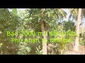 Bán 2000 m2 đất vườn Phú Nhuận TP Bến Tre giá 700 triệu/công
