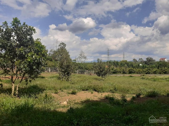 Cần bán đất Lộc Nga, đường Nguyễn Huy Tưởng gần trường Bùi Thị Xuân - Bảo Lộc - Lâm Đồng