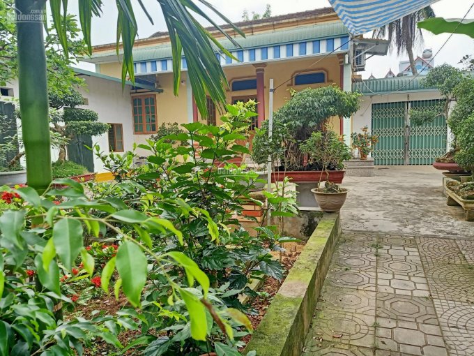 Bán nhanh lô đất nhà vườn tại xã Trần Phú, Chương Mỹ, Hà Nội