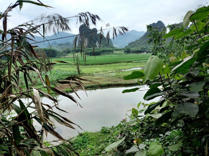 Bán đất lô đất tại xã Hợp Châu, Lương Sơn, Hòa Bình, đất cao, bám suối to. LH: 0988681666