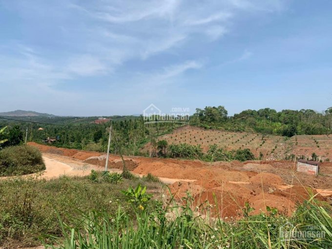 Bán đất vườn xã Đồi Rìu - Hàng Gòn, TP. Long Khánh, đất 2 mặt tiền thông thoáng, giá chỉ 1.2tr/m2