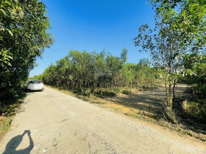 7.350m2 Diên Đồng, 3 MT đường. Hiện trạng bê tông 8m, bám đường 100m, giá nét cho khách phân lô