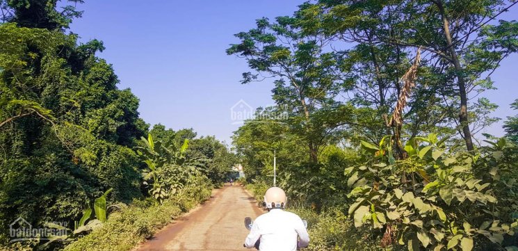 Bất động sản Quốc Oai, giá rẻ mảnh đất nằm gần đường Đại Lộ Thăng Long