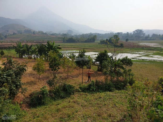 Bán đất nghỉ dưỡng view đã mắt