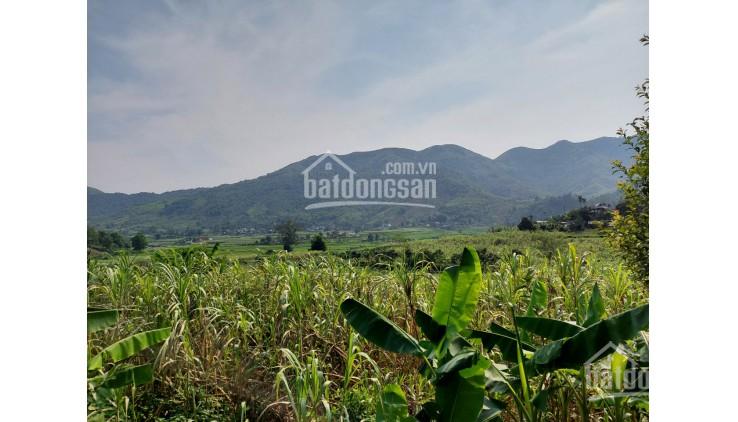 Bán lô đất 1194m2 full ONT, thực tế hơn 2000m2 tại Nam Phong, Cao Phong, Hòa Bình