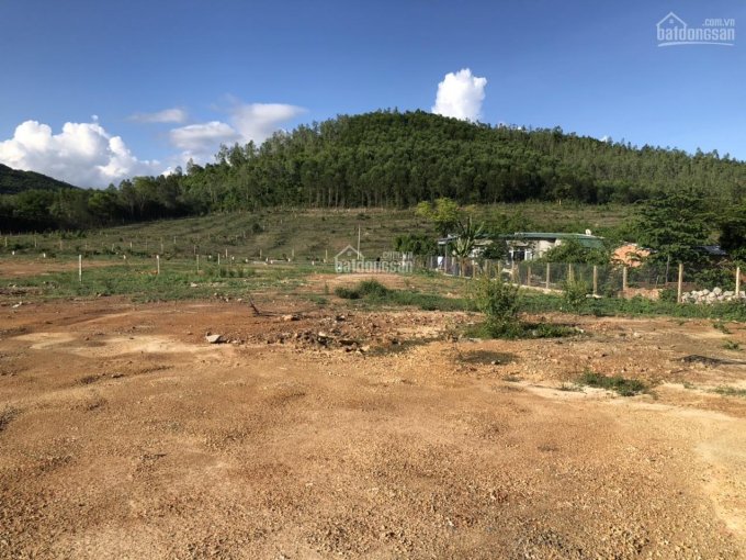 Bán rẻ lô đất nhà vườn Ninh Hoà, Khánh Hoà