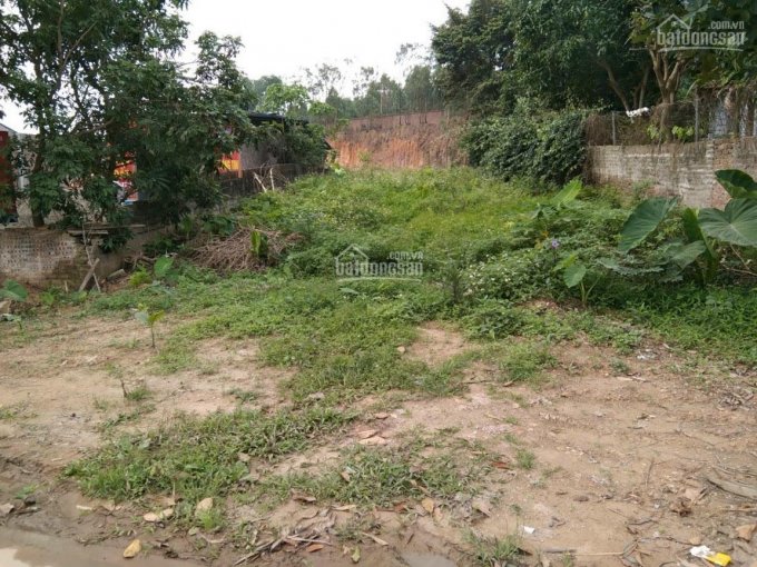 Bán đất giá rẻ tại Tam Dương, Vĩnh Phúc. LH: 0886513456