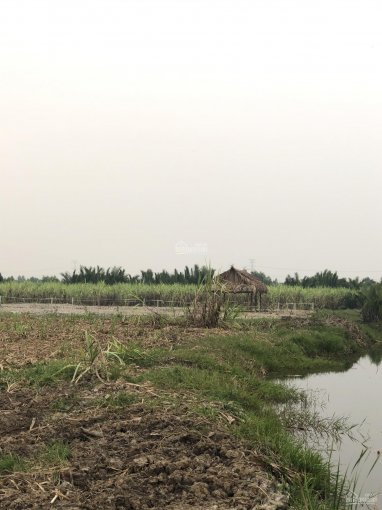 Đất vườn CLN Phước Khánh, Vĩnh Thanh, đường ô tô khu dân cư mặt rạch lớn thoáng mát