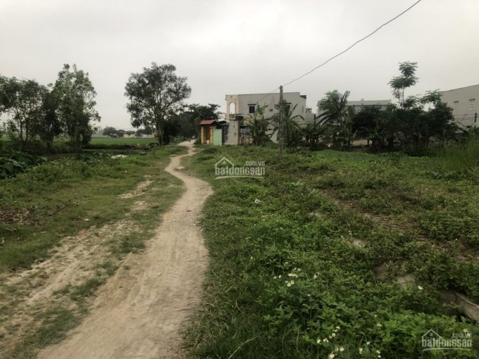 Bán đất nền MB231 xã Hoằng Quỳ Huyện Quảng Xương TP Thanh Hoá