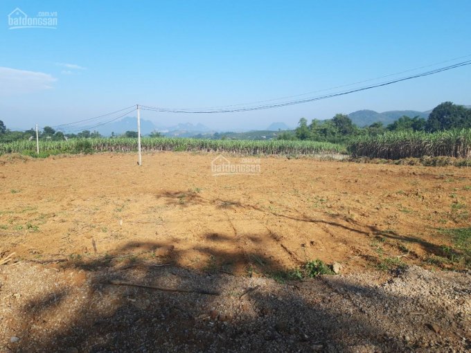 Bán đất Cao Phong, Hòa Bình diện tích 1500m2 giá đầu tư