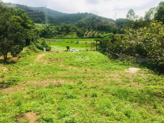 Bán gấp 1,9ha đất view cánh đồng ở Lương Sơn giá chỉ vài trăm nghìn/m2. LH 0917.366.060