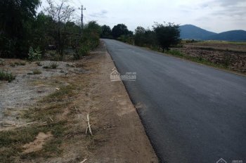 Bán đất thổ cư tại Quốc lộ 19C Thôn Tân An, huyện Sơn Hòa, tỉnh Phú Yên