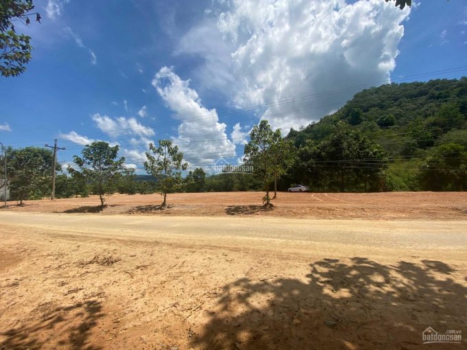 Bán 3 sào đất mặt tiền đường nhựa tại đội 12 xã Đạ Lây, huyện Đạ Tẻh, tỉnh Lâm Đồng