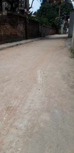 Chủ cần bán gấp đất Xã Phụng Châu cách KĐT Dương Nội, Đô Nghĩa 3 km. LH 0961225338