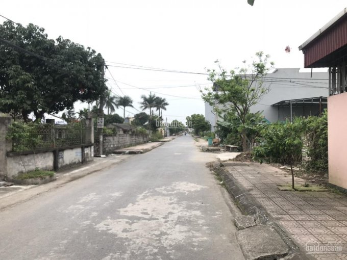 Bán đất TĐC Đông Trung thị trấn Thanh Nê, huyện Kiến Xương