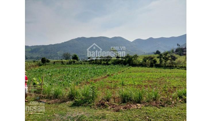 Bán lô đất 1194m2 full ONT, thực tế hơn 2000m2 tại Nam Phong, Cao Phong, Hòa Bình