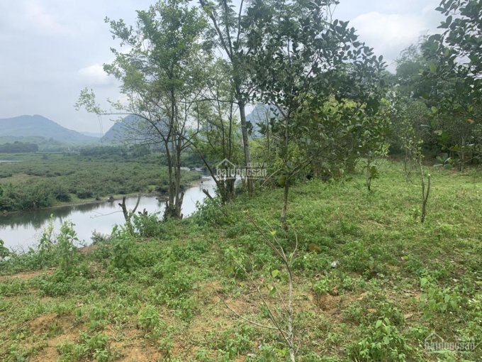 Bán nhanh đất sinh thái bám sông view núi đá 2400m2 tại Kim Bôi, Hòa Bình