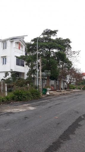 Chính chủ bán lô đất mặt đường Phạm Văn Đồng gần ngã tư phường Tân Thành, quận Dương Kinh Hải Phòng