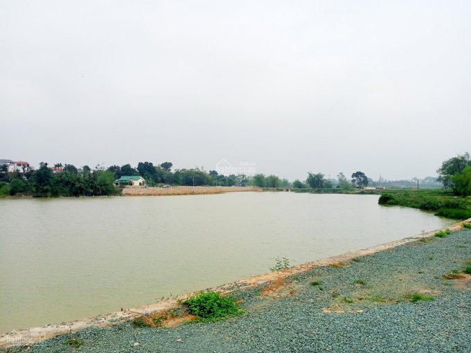 118m2 view hồ Hạ Bằng siêu đẹp. Sát khu CNC Hoà Lạc, Vsmart (Vingroup), giá quá rẻ