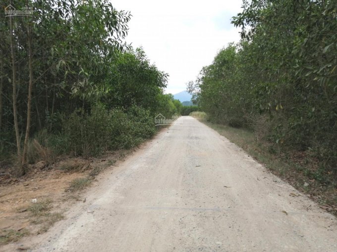 Bán đất 2 mặt tiền đường bê tông gần 7m cách đường Liên Xã 45m, Diên Xuân, Diên Khánh