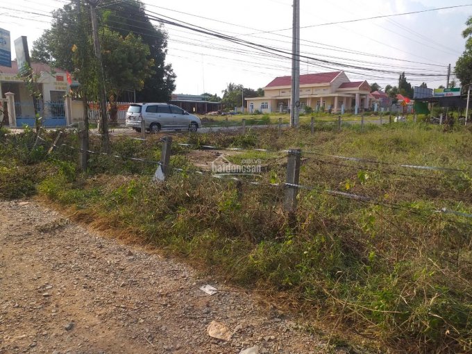 Bán đất mặt tiền đường Nguyễn Du thị xã La Gi giá rẻ