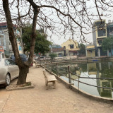 Có 55m2 ao sen sát công làng Đại Áng, Thanh Trì