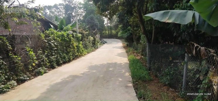 Chính chủ bán 530m2 có 400m2 thổ cư giá chỉ 3tr9/m2 (có thương lượng) tại Hoà Trúc, Hoà Thạch