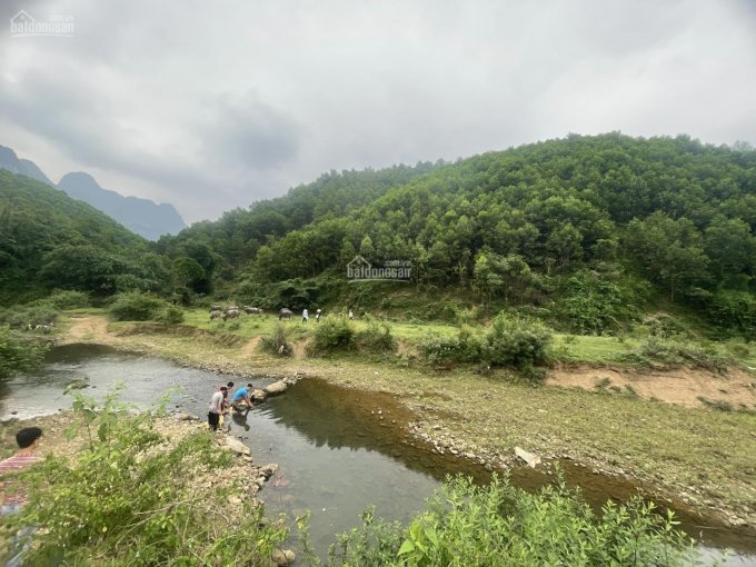 Chính chủ bán đất Kim Bôi, Hoà Bình non nước