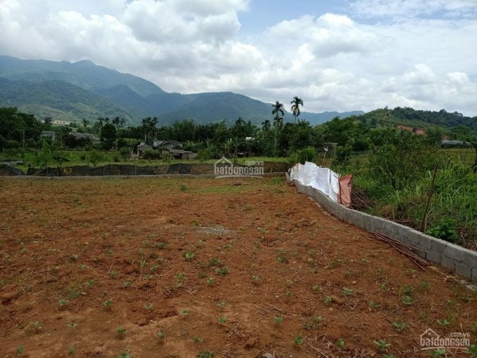 Bán đất tại huyện Cao Phong, tỉnh Hòa Bình diện tích 2000m2