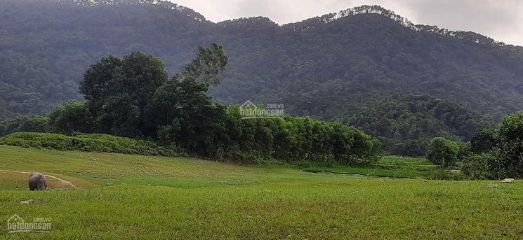 Bán đất xã Bắc Sơn, Sóc Sơn, view hồ Cầu Bãi, 1800 - 20.000m2, nhà vườn, nghỉ dưỡng, sổ đỏ, giá rẻ