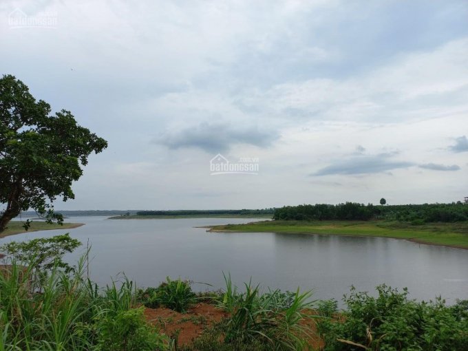 Cần bán lô đất view hồ cực đẹp cực mát mẻ thuộc xã Lâm San, huyện Cẩm Mỹ, tỉnh Đồng Nai