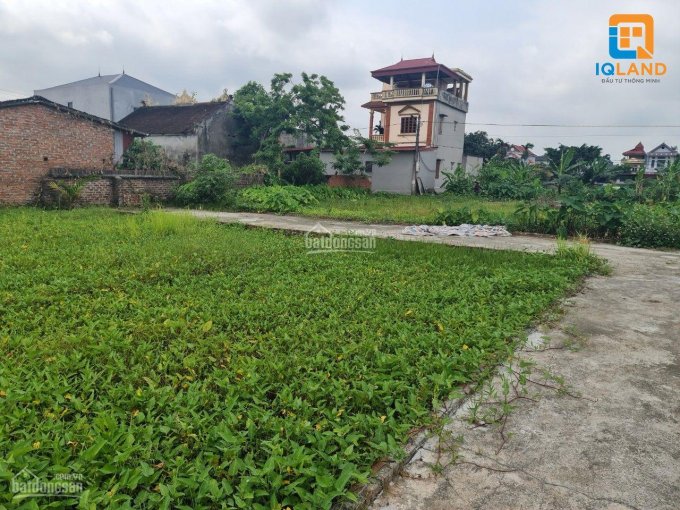 Cần bán 150m2 đất bìa làng thôn Hương Trầm Thụy Lâm, Đông Anh, Hà Nội