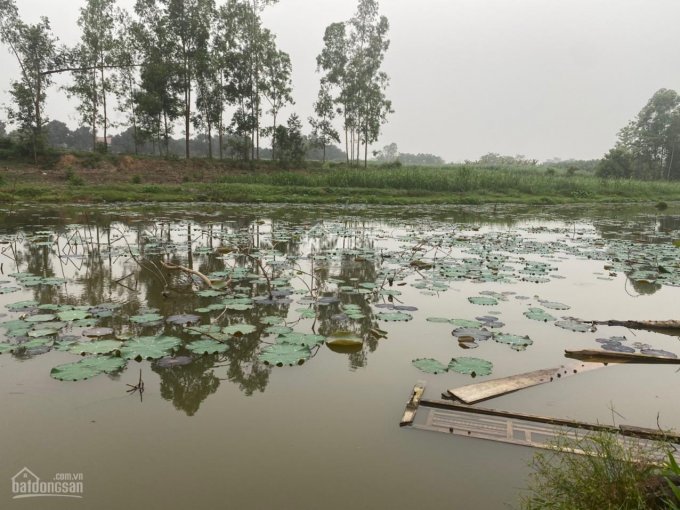Chính chủ cần bán 1362m2 đất đã có tường bao xung quanh views hồ thoáng mát tại Kim Sơn Sơn Tây, HN