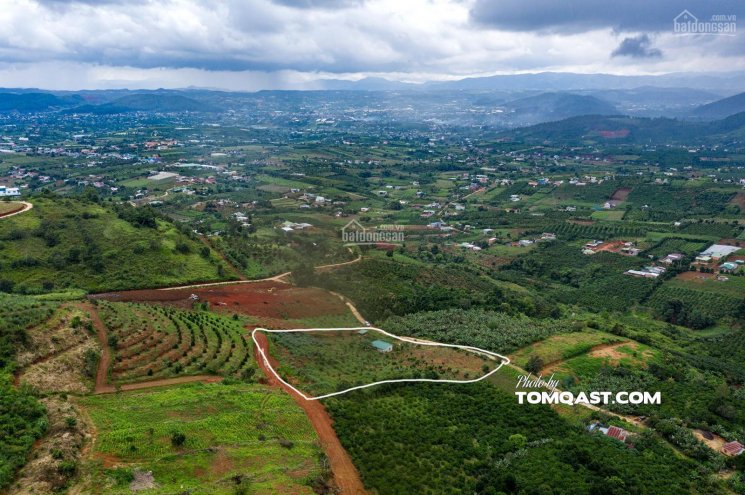 Bán đất ven TP Đà Lạt, kiệt tác nghỉ dưỡng trên cao nguyên xanh, giá rẻ chỉ 500 - 1 tỷ /1000m2