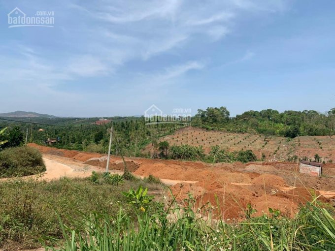 Bán đất xã Đồi Rìu - Hàng Gòn, TP. Long Khánh, giá bán 1.2 tỷ/sào, có HH giới thiệu cho môi giới