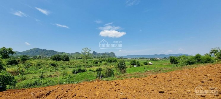 Chỉ với 1.5 tỷ có ngay 4.400m2 đất thổ cư view tuyệt đẹp tại Cao Phong, Hòa Bình