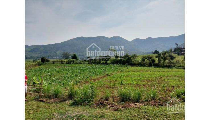 Bán lô đất 1194m2 full ONT, thực tế hơn 2000m2 tại Nam Phong, Cao Phong, Hòa Bình