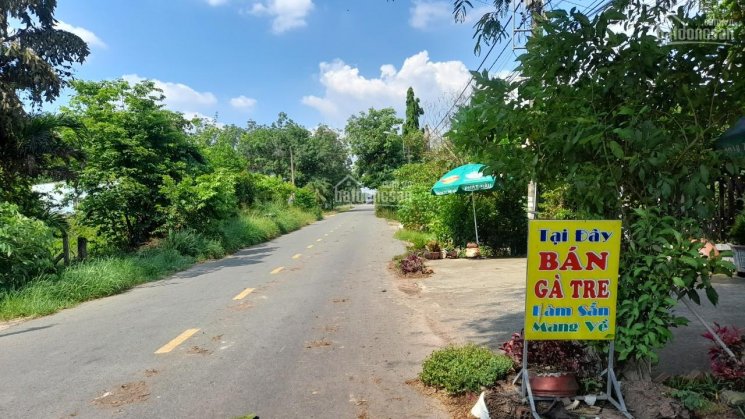 Bán đất thổ cư mặt tiền đường Bến Súc, đường xe Công chạy gần kề Thảo Cầm Viên Sài Gòn SaFaRi