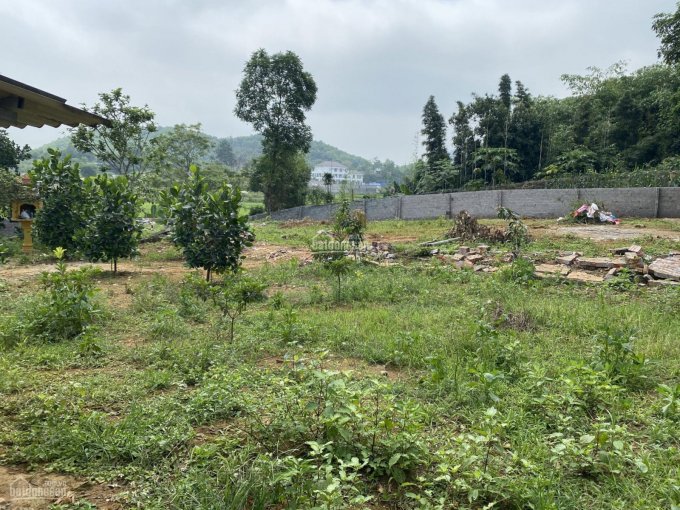 Cần tiền chính chủ bán gấp lô đất xây biệt thự nghỉ dưỡng cực phẩm huyện Thạch Thất, Hà Nôi