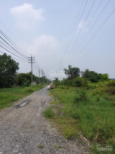 Bán 11.636m2 đất, gần Huỳnh Thị Mài, Tân Hiệp